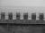 Birds on battlements by Tim Hgele